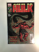 Hulk (2009) Consequential Set