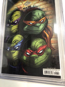 Teenage Mutant Ninja