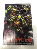 Teenage Mutant Ninja Turtels (NM)