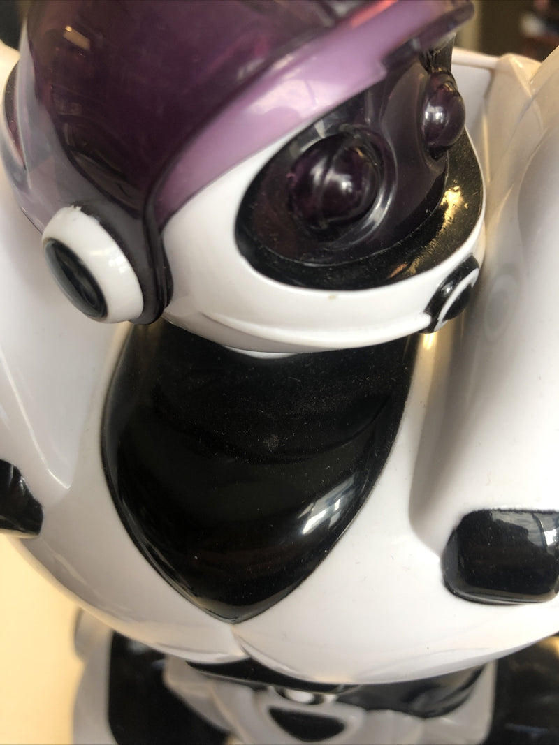 ROBOACTOR / ROBOSAPIEN Model TT313