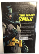Batman Under The Cowl |TPB Paperback (NM)(2010) Grant Morrison, Geoff Johns