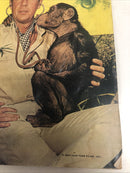 Daktari (1969)