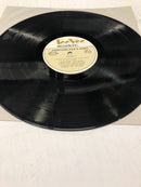 Everyone Has A Song Original Songs By Original Artists 4 Vinyl LP  Albums