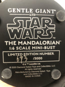 Star Wars The Mandalorian