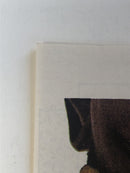 Legion Of Super-heroes (1986)