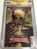 Deadly Neighborhood Spider-Man