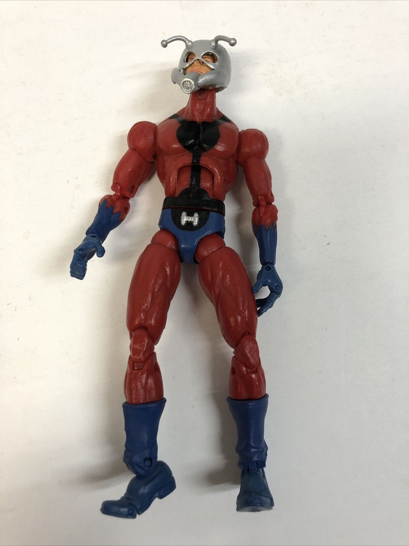 Marvel Legends Giant Man Series Ant Man 2006 Mint No BAF