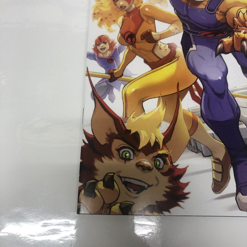 Thundercats (2024)