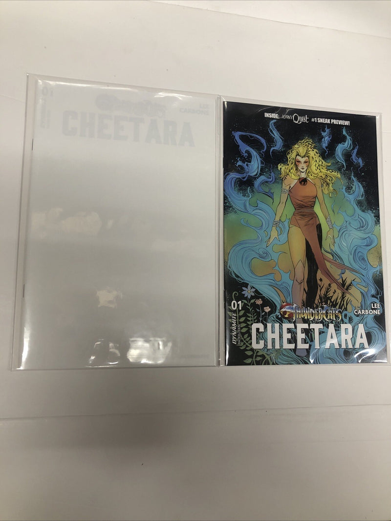 Thundercats Cheetara