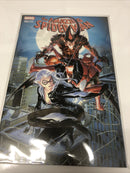 The Amazing Spider-Man (2018)