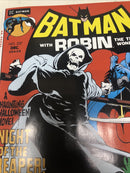Batman With Robin (2024)