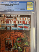 TMNT Teenage Mutant Ninja Turtles (1985)