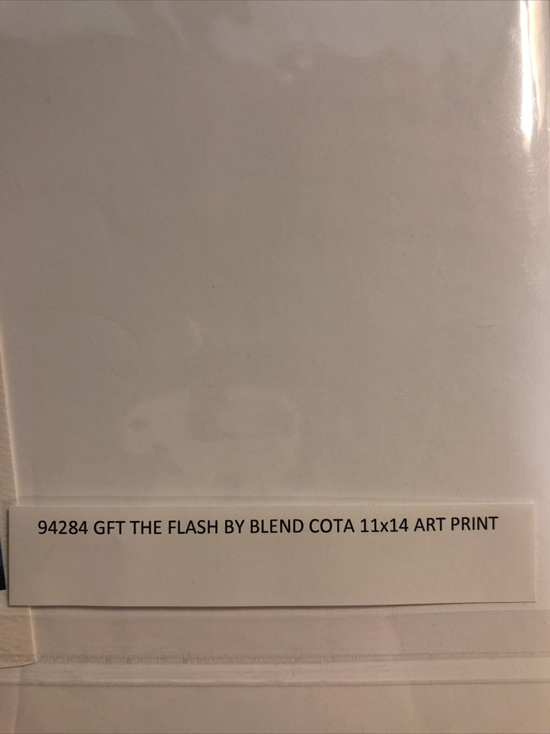 Blend Cota Flash 11 X 14 Art Print Gallery Wrapped Canvas