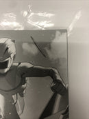 Mighty Morphin Power Rangers/Teeange Mutant Ninja Turtles (2022)