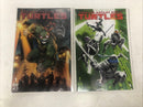 Teenage Mutant Ninja Turtles TMNT