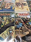 Tarzan Of The Apes (1969) Set Issues