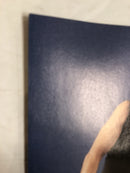 Mighty Avengers (2008)