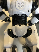 ROBOACTOR / ROBOSAPIEN Model TT313