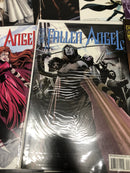 Fallen Angel (2003) Set Complete