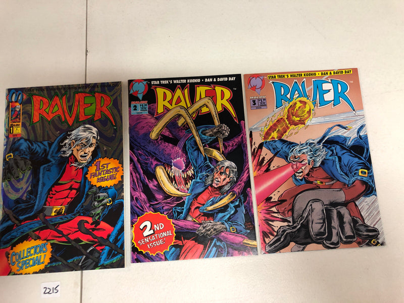 Raver (1993)