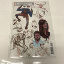 Ultimate Spider-Man  (2024)