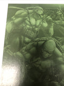 Teenage Mutant Ninja Turtels (NM)