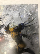 Predator Vs Wolverine (2024)