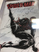 Miles Morales : Spider-Man (2023)