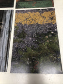 Zisle (2014) Set Issues