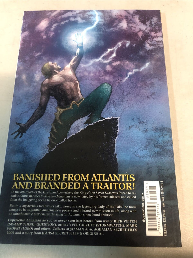 Aquaman The Waterbearer  (2018) DC Comics TPB SC Rick Veitch