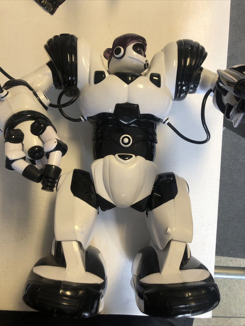 ROBOACTOR / ROBOSAPIEN Model TT313