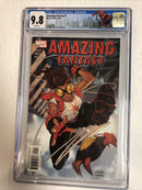 Amazing Fantasy (2004)