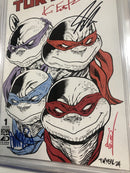 Teenage Mutant Ninja