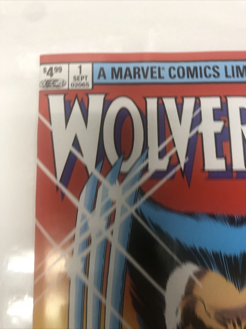 Wolverine (2024)