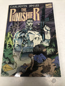 The Punisher An Eye For An Eye (1991) Marvel TPB SC Carl Potts