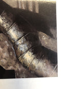 Batman Masterpieces: Portraits Of The Dark Knight & His World Softcover (2002)