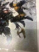 Predator Vs Wolverine (2024)