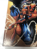 Spectacular Spider-man (2002)