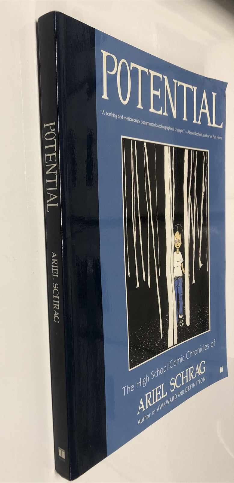 Potential The High School Comic Chronicles Of Ariel Schrag (2008) TPB Schuster