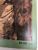 Big Red