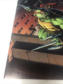 Teenage Mutant Ninja Turtels (NM)
