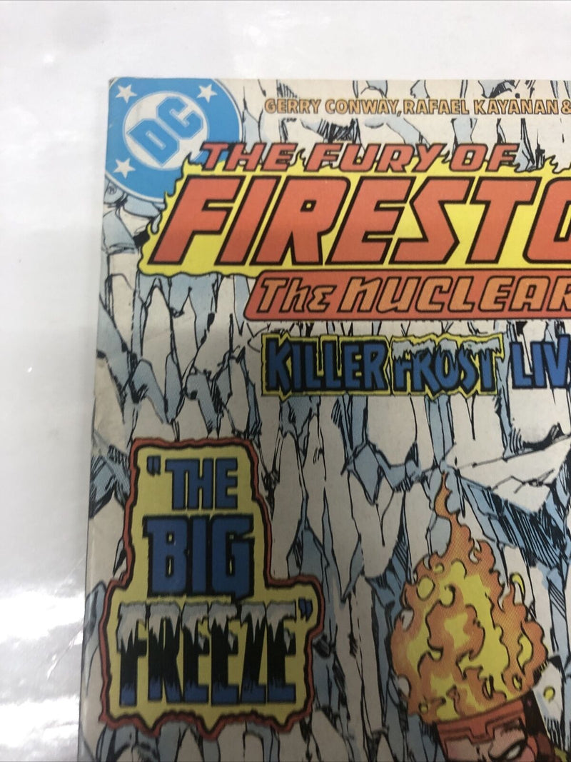 The Fury Of Firestorm (1985)