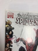 Amazing Spider-Man (2009)