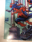 Spider-man (1998)