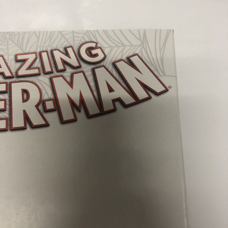 The Amazing Spider-Man (2015)