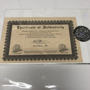 Harley Quinn And The Suicide Squad (2016)