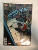 Peter Parker: The Spectacular Spider-Man (2018) Set