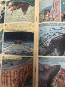 Lad A Dog (1962) # 2 Silver Age • Dell Comics • # 12-414-209 • Helen Meyer