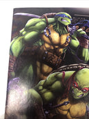 Teenage Mutant Ninja Turtels (NM)
