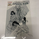 The Amazing Spider-Man (2015)